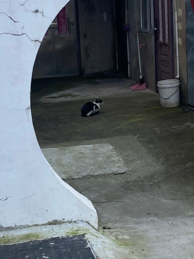 2025-11月 https://www.esaps.top/wp-content/uploads/2025/12/img_1074_0bc3jvfsjyyadyaa6dazdjutetieeqxqawsa.jpeg